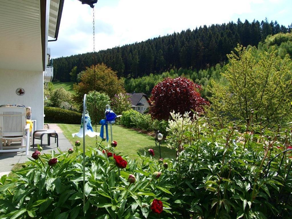 Ferienhaus Linn Winterberg