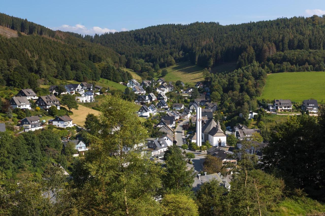 Linn Ferienhaus Winterberg