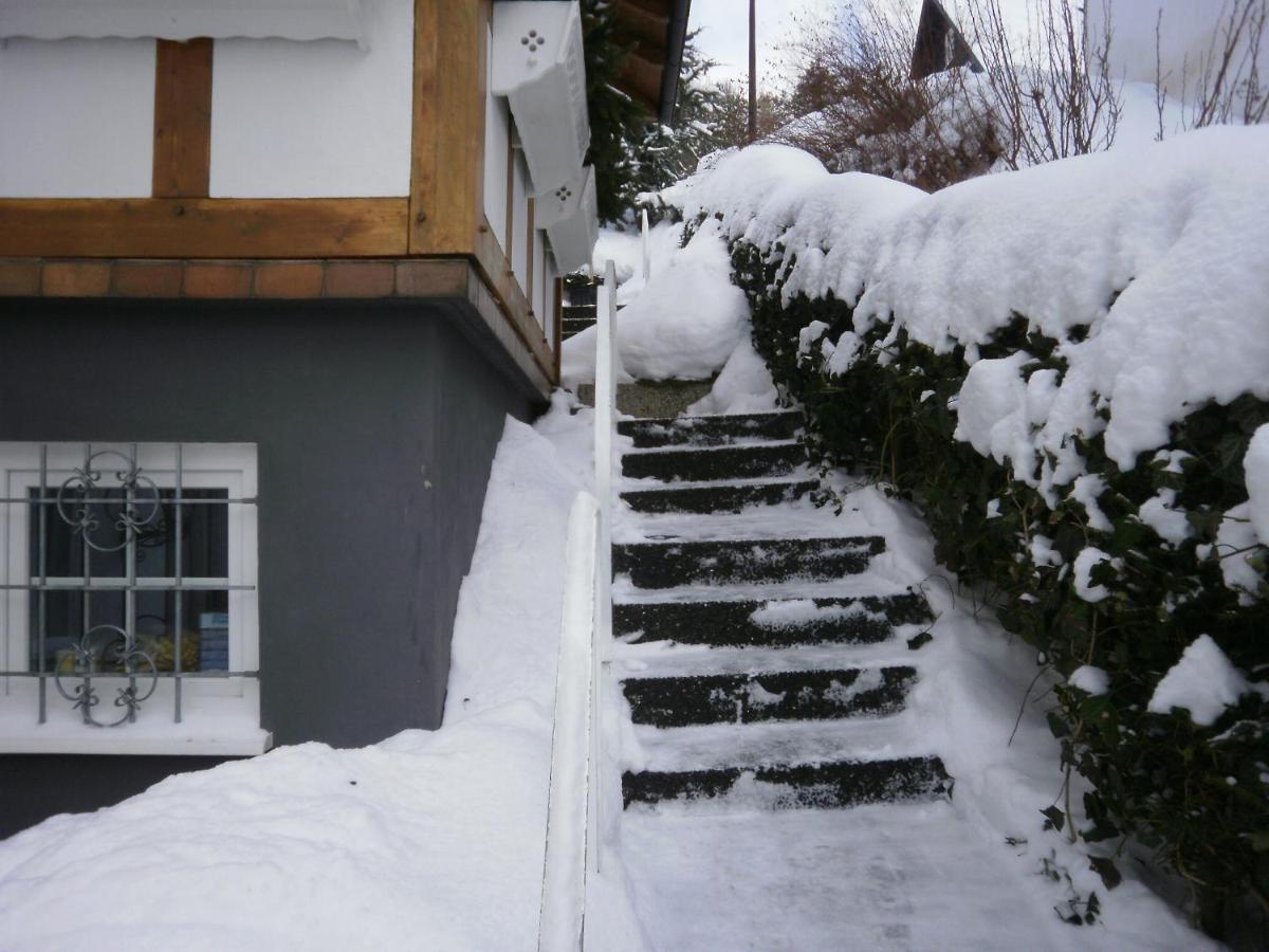 Linn Ferienhaus Winterberg